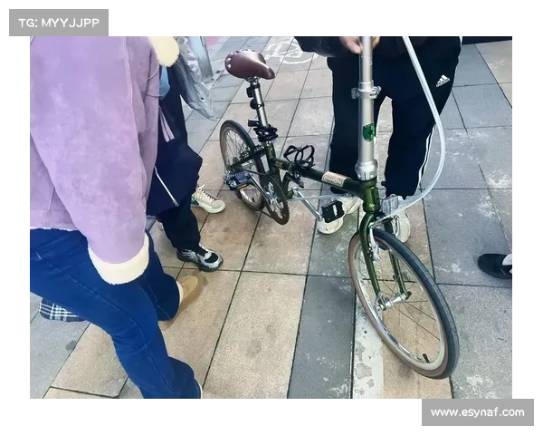 中美企业角逐千亿通勤市场 大行折叠技术专利之争再升级